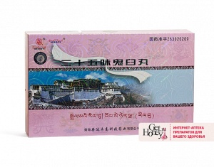 ��������� ������ ��� ������ "�������� ������" (Ershiwuwei Guijiu Wan)